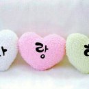 똑뚜띠~안녕요~♡ 이미지