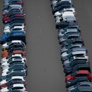 주정차-36 이미지