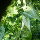 상경농장 이미지