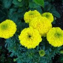 송정섭농장 이미지