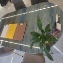 초이스안마 이미지