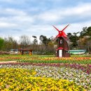 안성맞춤가족공원 이미지