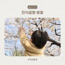 경기도 수원시 장안구 송정로21번길 | 26년 4월 4일 만석공원 벚꽃 임시주차장 주차하기