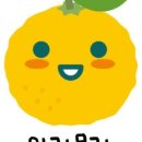 고흥야채상회