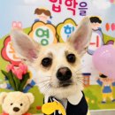 댕구르르 유치원 이미지