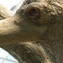 오리나무약수터 이미지