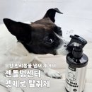 멍이펫 | 강아지 냄새제거 젠틀멍센터 펫제로 탈취제