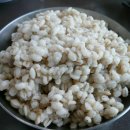 꽁보리밥 이미지