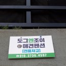 도그엔조이 이미지