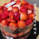 보석상자노래연습장 | 대전 성심당 케이크부띠끄 딸기시루 후기, 가격보다 놀라운 딸기 양! (웨이팅 없이 조카 찬스)