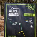 7월6일,토요일,엄광산숲길,동대신 숲또랑길 이미지