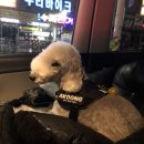 잇츠그루밍타임 이미지