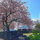 회수동-7 네이버블로그