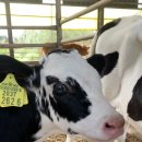 남악농장 이미지