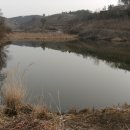 고경주유소 Daum카페