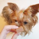 해운대동물약국 이미지