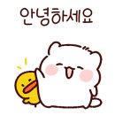 [디지털] 영상편집 오전반 이미지