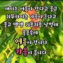 오늘의 꽃은 바로 당신 입니다 이미지