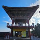 스테이수월 | [제주/서귀포] 제주 약천사 템플스테이 (1박 2일 휴식형) 체험 후기