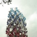 꿈꾸는 나비 이미지