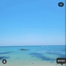 정동진해변(정동진 해수욕장)
