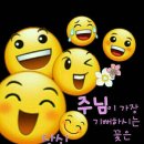 탑건강의료기