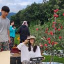 채호농장 이미지