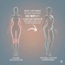 한국체형미 | 서울 강남/서초 바디필러 트렌드 &amp; 글로벌 바디 증강 필러 성장 전망 (2025.1~9)