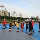 영롱이인라인 이미지