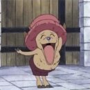 인마망마카롱 | 12월 먹금하고 4월블로그 들어와~