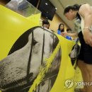유일농장 이미지