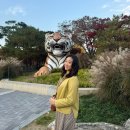 사임당로17길 52-12 | 가을풍경 절정인 서울대공원 동물원 | 리프트 2회+동물원 입장권 패키지 할인 링크, 코끼리열차 이용 후기