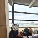 [강릉]에이엠브레드앤커피/안목해변 바로앞 오션뷰 카페 두바이쫀득쿠키 있음(반려견 동반 가능)