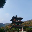 병천아우네순대 - 충주시 무학천변길 92 | 병천아우네순대