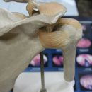 월드경희한의원 이미지