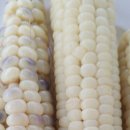 경빈농장 이미지