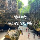 이도 태권도 | 2025.05 / 5박 6일 발리 여행 프롤로그 일정, 비용 총정리