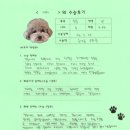다해골재 | [#1206] 아리(양측 슬개골재탈구)의 수술후기