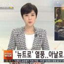 새봄안경 이미지