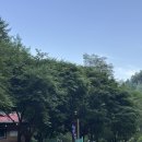 원주 맛집ㅣ금대리 아기랑 가기 좋은 계곡식당 청운산장 능이토종닭백숙 닭볶음탕 후기