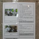동구장애인보호작업장(꽃바위참기름,꽃바위들기름) 네이버블로그