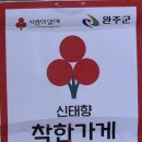 신태향