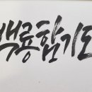 백룡체육관 이미지