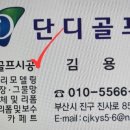 단디스크린골프 이미지
