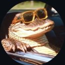 57 | 🦎 2025 K렙타일페어 57회 후기 (서울 세텍)