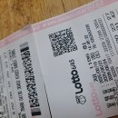 1186× 승용차?소 2모작? 2장?0번?미꾸라지 이미지