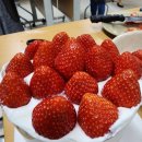 외국인복지센터 | 🍓수원시 외국인 복지센터"언니들의 수다 2차 프로그램 – 딸기 케이크 만들기 체험🍰