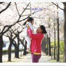 창원대로 이미지