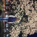 연세대학교 사회복지대학원 이미지