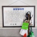 신내기사식당 | ⚠️ 45년 전통 설렁탕집에선 '이것'만 시키세요! 우거지내장탕 시켰다가 비위 상한 솔직 후기